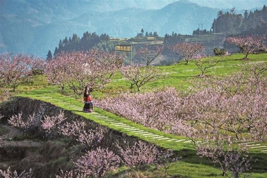 �һ���ɽ�����Ԫ ��