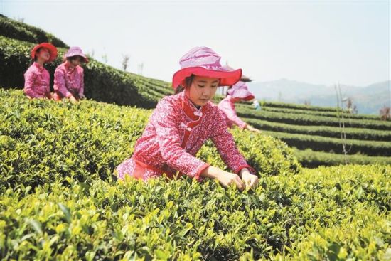 ��ѧ�����߽���ɽ������ɲ���Ȥ�������ҵ�ṩ