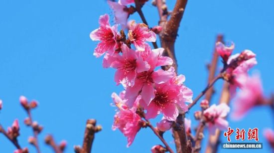 �һ����ţ���տ�������ӳ��Ȥ����ʢͥ ��