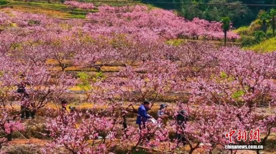 �����ش�������̹��ǧĶ������ɽ���ƣ������չ��ղʥ ��