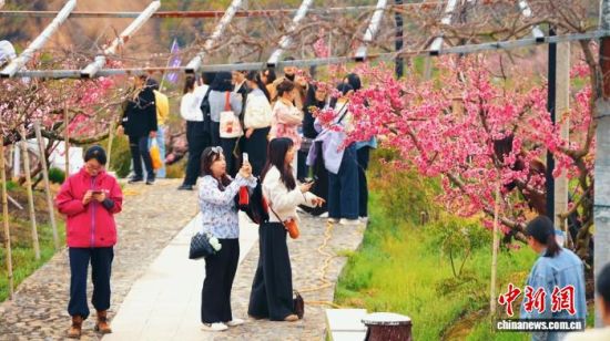 �����طﶼ�������һ�ʢ�ţ������ڶ����˹۹⡣֣Ϊ�� ��