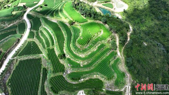 ����ͼΪ��Ӫ���԰�ɲ�æ��