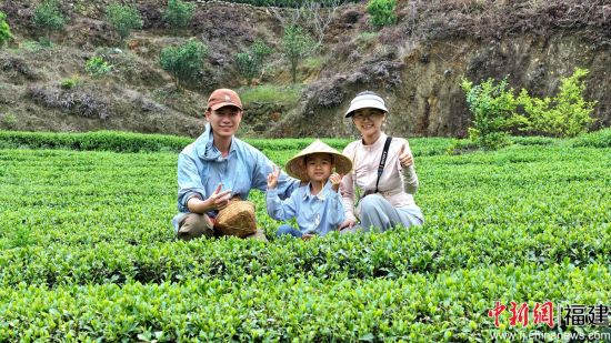 ����ͼΪ�ο�����ɲ衣