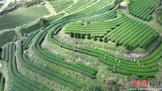 ����ͼΪ��Ӫ����̬��԰��