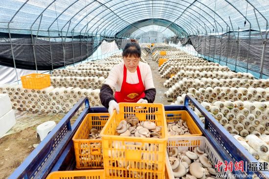 ����ͼΪ��Ӫ��ƽ����ֲ���ĺ��� ��