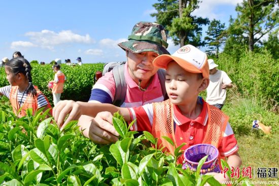 ����ͼΪ�ο�����ɲ衣