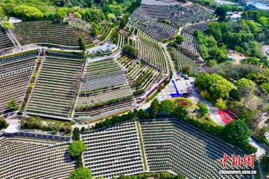 4月2日,空中俯瞰福建福州美丽的生态陵园。(无人机照片)中新社记者 王东明 摄 4月2日,空中俯瞰福建福州美丽的生态陵园。(无人机照片)中新社记者 王东明 摄