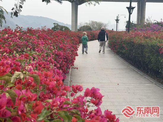 �����Ļ��������ο�