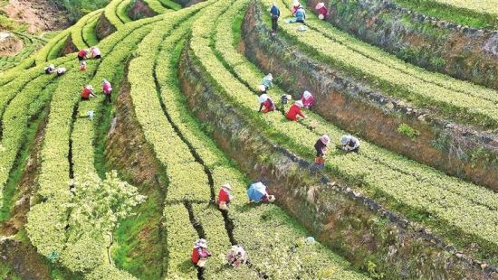 ������ľ�ò�ׯ԰���޹�˾�л������