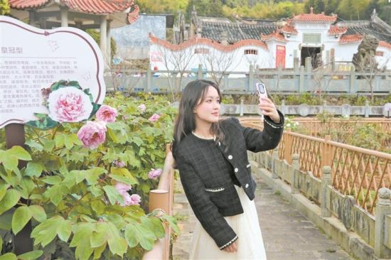 �ο���ĵ����Ӱ