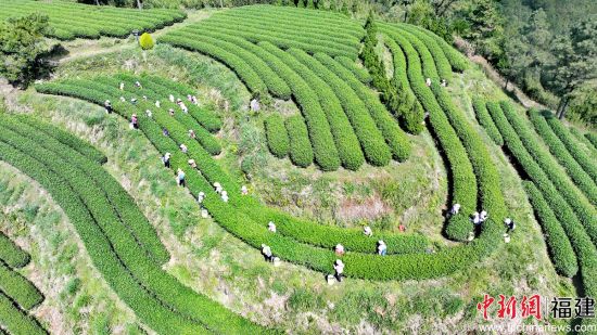 ����ͼΪ����ͬ����ɽ��԰���ĺ��� ��