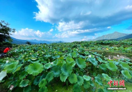 �������ǡ��й�����֮�硱������ƺ��������������֤Ϊ�������������������������������� �ű� ��