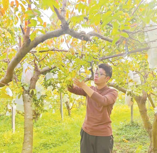 ̨��л��������ֲ���ز鿴���ҳ��ơ�