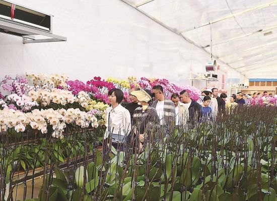 ����ʡ�����ũҵ��ҵ�ߡ���ũ���ұ�����Ƽ���˾�ĺ��������Ҵ���ιۡ�