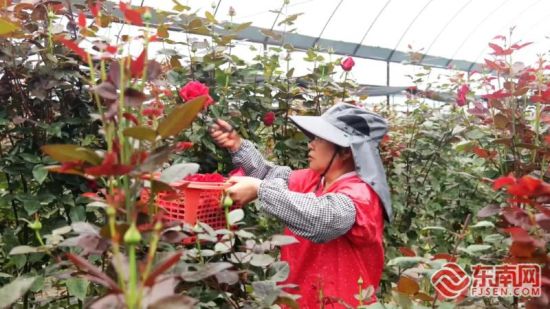 ������õ��԰����ժõ�塣֣�к� ��