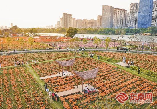 4月11日,龙江岁月的“二十四节气农耕文明体验区”,金鱼草花海与对岸的城市景观交相辉映。福建日报记者 施辰静 摄 4月11日,龙江岁月的“二十四节气农耕文明体验区”,金鱼草花海与对岸的城市景观交相辉映。福建日报记者 施辰静 摄