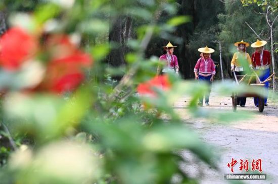 ͼΪ4��14�գ�С���ֳ���Ů����Ա��׼��ȥ�ֳ������ֵ������������ �ű� ��