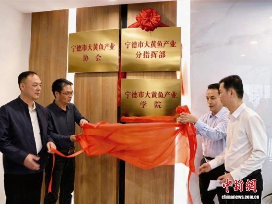 宁德市大黄鱼产业学院揭牌仪式。吴允杰 摄 宁德市大黄鱼产业学院揭牌仪式。吴允杰 摄