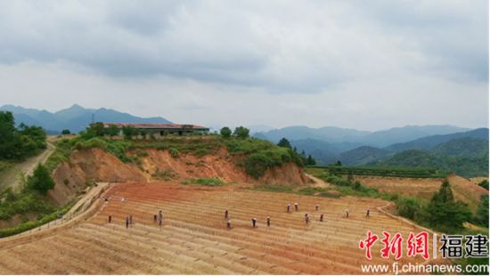 图为工人在苗圃里为培育茶苗作准备 严梦兰摄 图为工人在苗圃里为培育茶苗作准备 严梦兰摄