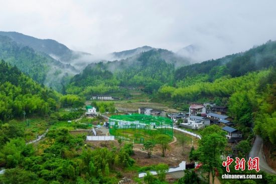 近日,福建省朱鹮种群重建启动仪式在三明市将乐县龙栖山国家级自然保护区举行,来自陕西汉中朱鹮国家级自然保护区的10只朱鹮正式落户福建龙栖山。这标志着绝迹多年的朱鹮重返闽山,也标志着中国南方朱鹮野化放归、种群重建工作正式拉开序幕。朱鹮被誉为“东方宝石”,是国家一级重点保护野生动物,拥有六千万年演化历史,对水质、食物、栖息环境要求极高,是衡量区域生态环境好坏的重要指示物种。图为5月13日,俯瞰保存有完整的中亚热带常绿阔叶林生态系统的福建龙栖山国家级自然保护区。(无人机照片) 近日,福建省朱鹮种群重建启动仪式在三明市将乐县龙栖山国家级自然保护区举行,来自陕西汉中朱鹮国家级自然保护区的10只朱鹮正式落户福建龙栖山。这标志着绝迹多年的朱鹮重返闽山,也标志着中国南方朱鹮野化放归、种群重建工作正式拉开序幕。朱鹮被誉为“东方宝石”,是国家一级重点保护野生动物,拥有六千万年演化历史,对水质、食物、栖息环境要求极高,是衡量区域生态环境好坏的重要指示物种。图为5月13日,俯瞰保存有完整的中亚热带常绿阔叶林生态系统的福建龙栖山国家级自然保护区。(无人机照片)