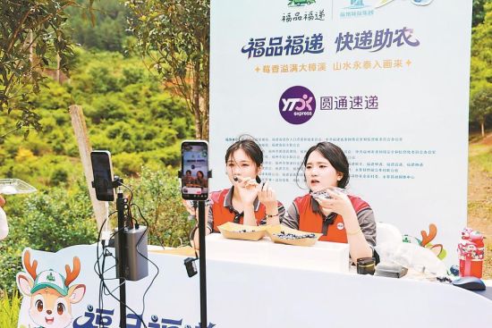活动将直播间搬进果园,主播现场推介永泰蓝莓。 活动将直播间搬进果园,主播现场推介永泰蓝莓。