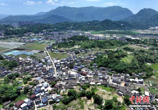 5月19日,航拍福建省福州市罗源县起步镇,桂林村位于起步镇仙茅山脚下。(无人机照片)中新社记者 吕明 摄 5月19日,航拍福建省福州市罗源县起步镇,桂林村位于起步镇仙茅山脚下。(无人机照片)中新社记者 吕明 摄