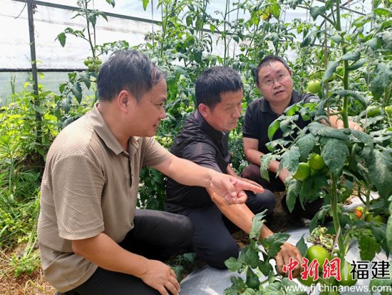 ͼΪ������ũҵ��ѧ�о�Ժ�߲���������Ϫ��ũҵũ���ˮ����ũ��ר�ң��ڸ������Ŵ巬�Ѵ���ʾ�����أ�ʵ�ز쿴��Ʒ�ַ�������̬�ơ���Ϫ����ý������ ��������