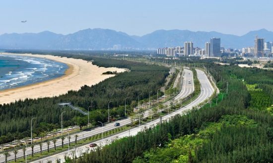 福州滨海新城沿海防护林基干林带。黄海 摄 福州滨海新城沿海防护林基干林带。黄海 摄