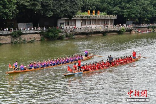 6月17日,在福建福州光明港河道上,民间龙舟队划桨竞渡,尽情享受龙舟的乐趣,迎接端午佳节。中新社记者 张斌 摄 6月17日,在福建福州光明港河道上,民间龙舟队划桨竞渡,尽情享受龙舟的乐趣,迎接端午佳节。中新社记者 张斌 摄