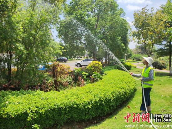 香山湿地公园养护。 香山湿地公园养护。