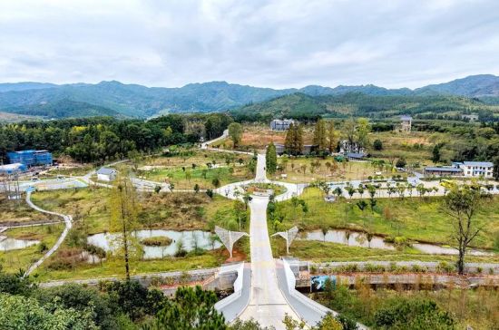 百鸟家园(江月兰 摄) 百鸟家园(江月兰 摄)