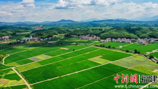 建宁县地处武夷山脉中段,丘陵与河流交错,天然隔离条件优越,是水稻制种的“天然摇篮”。建宁县融媒体中心供图 建宁县地处武夷山脉中段,丘陵与河流交错,天然隔离条件优越,是水稻制种的“天然摇篮”。建宁县融媒体中心供图