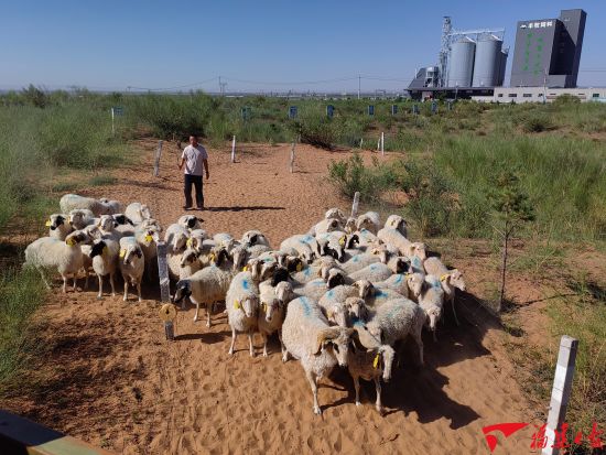 7��7�գ�һȺ̲�����γ��ص���̬�����ϡ���������