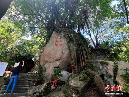 图为7月6日,游客在福州长乐猴屿乡猴屿洞天岩“一岩两树 同根共茂”景点参观。中新社记者 吕明 摄 图为7月6日,游客在福州长乐猴屿乡猴屿洞天岩“一岩两树 同根共茂”景点参观。中新社记者 吕明 摄