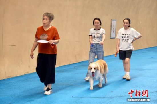 7月8日,福建福州,民众在梅峰慢行隧道里散步纳凉。中新社记者 王东明 摄 7月8日,福建福州,民众在梅峰慢行隧道里散步纳凉。中新社记者 王东明 摄