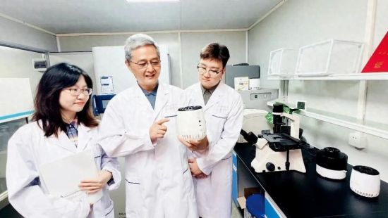 陈晓光教授(中)的研究团队 图/受访者提供 陈晓光教授(中)的研究团队 图/受访者提供