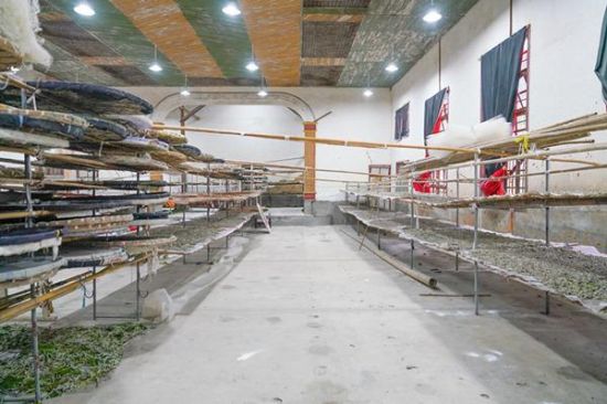 新桥乡大兴村蚕种繁育基地。 新桥乡大兴村蚕种繁育基地。