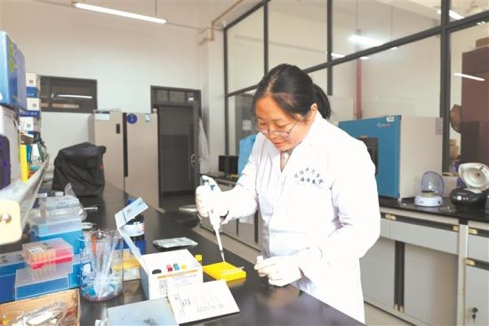 科研团队进行盐碱水养殖大黄鱼性腺性激素检测。宁德师范学院供图 科研团队进行盐碱水养殖大黄鱼性腺性激素检测。宁德师范学院供图