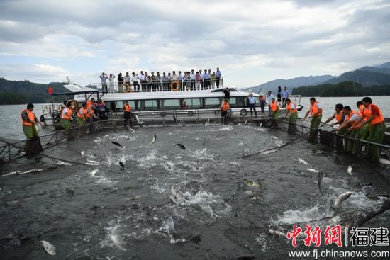 ��ҵ�����粶���ֳ���̩����ˮ���ֹ�ͼ
