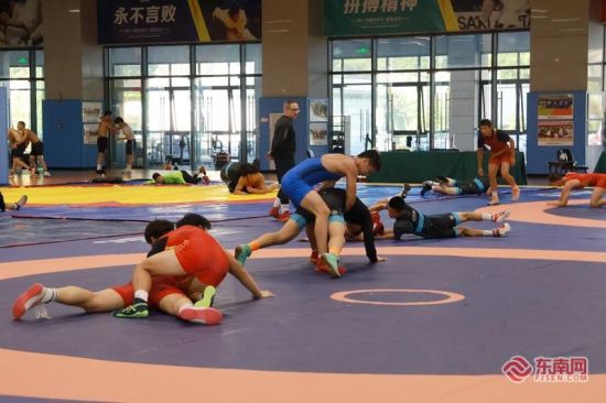 武夷国际重竞技训练中心内少年运动员正在训练 东南网记者 肖练冰 摄 武夷国际重竞技训练中心内少年运动员正在训练 东南网记者 肖练冰 摄