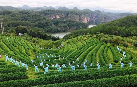境元茶山 境元茶山