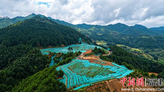 前坪乡山川村原回民铁矿中转场地废弃矿山生态修复项目施工现场 前坪乡山川村原回民铁矿中转场地废弃矿山生态修复项目施工现场