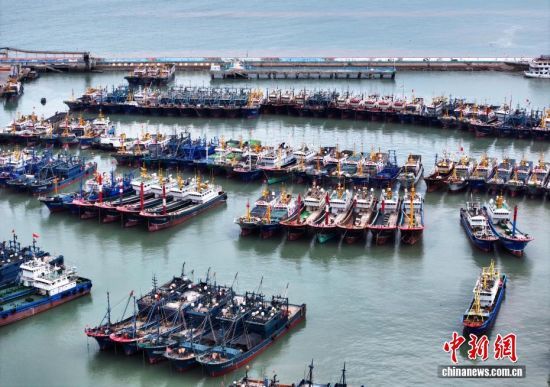 8月8日,各类船舶在福建福州连江县黄岐国家中心渔港内避风。今年第13号台风“白海豚”正逐渐向闽浙沿海靠近,针对台风可能带来的破坏性影响,福建省连江县根据辖区渔船多、渔排多、海上作业人员多的实际情况,迅速启动防台风应急响应,通过各种方式组织渔船进港避风、海上作业人员撤离上岸。目前,当地11832艘各类船舶,已全部进港避风,海上作业人员已全部转移上岸。(无人机照片) 8月8日,各类船舶在福建福州连江县黄岐国家中心渔港内避风。今年第13号台风“白海豚”正逐渐向闽浙沿海靠近,针对台风可能带来的破坏性影响,福建省连江县根据辖区渔船多、渔排多、海上作业人员多的实际情况,迅速启动防台风应急响应,通过各种方式组织渔船进港避风、海上作业人员撤离上岸。目前,当地11832艘各类船舶,已全部进港避风,海上作业人员已全部转移上岸。(无人机照片)
