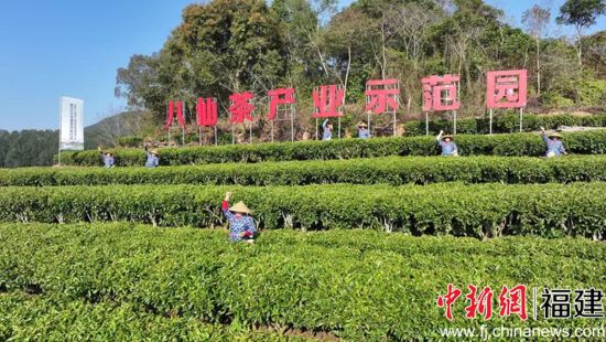 ͼΪ���ɲ販��Է��������λ�á���������