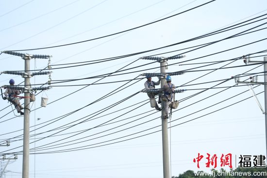 国网莆田供电公司施工人员奋力开展栖梧村配电网线路改造,保万家清凉度夏(朱清霞) 国网莆田供电公司施工人员奋力开展栖梧村配电网线路改造,保万家清凉度夏(朱清霞)