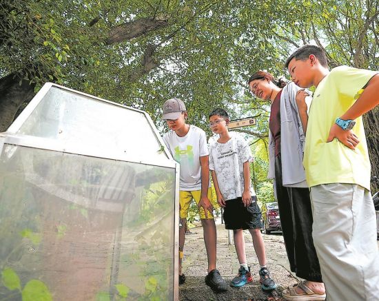 孩子们在参观清代六孔人力绞缆铁桩。 许海峰 摄 孩子们在参观清代六孔人力绞缆铁桩。 许海峰 摄