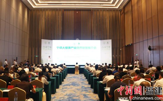 宁德大健康产业康养旅居推介会现场。中新网记者 叶茂 摄 宁德大健康产业康养旅居推介会现场。中新网记者 叶茂 摄