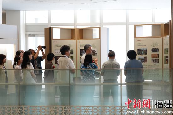 图为游客参观“八闽书房•福建茶文化”专题展览。福建省图书馆 供图 图为游客参观“八闽书房•福建茶文化”专题展览。福建省图书馆 供图