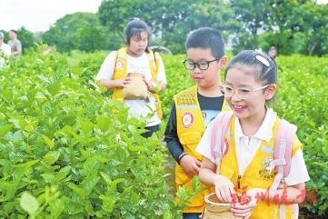 ͬѧ���ڲ�ժ���򻨡�