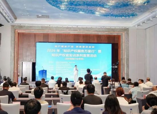 活动现场。主办方供图 活动现场。主办方供图
